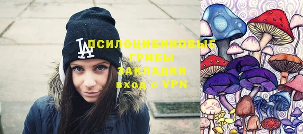 герыч Арсеньев